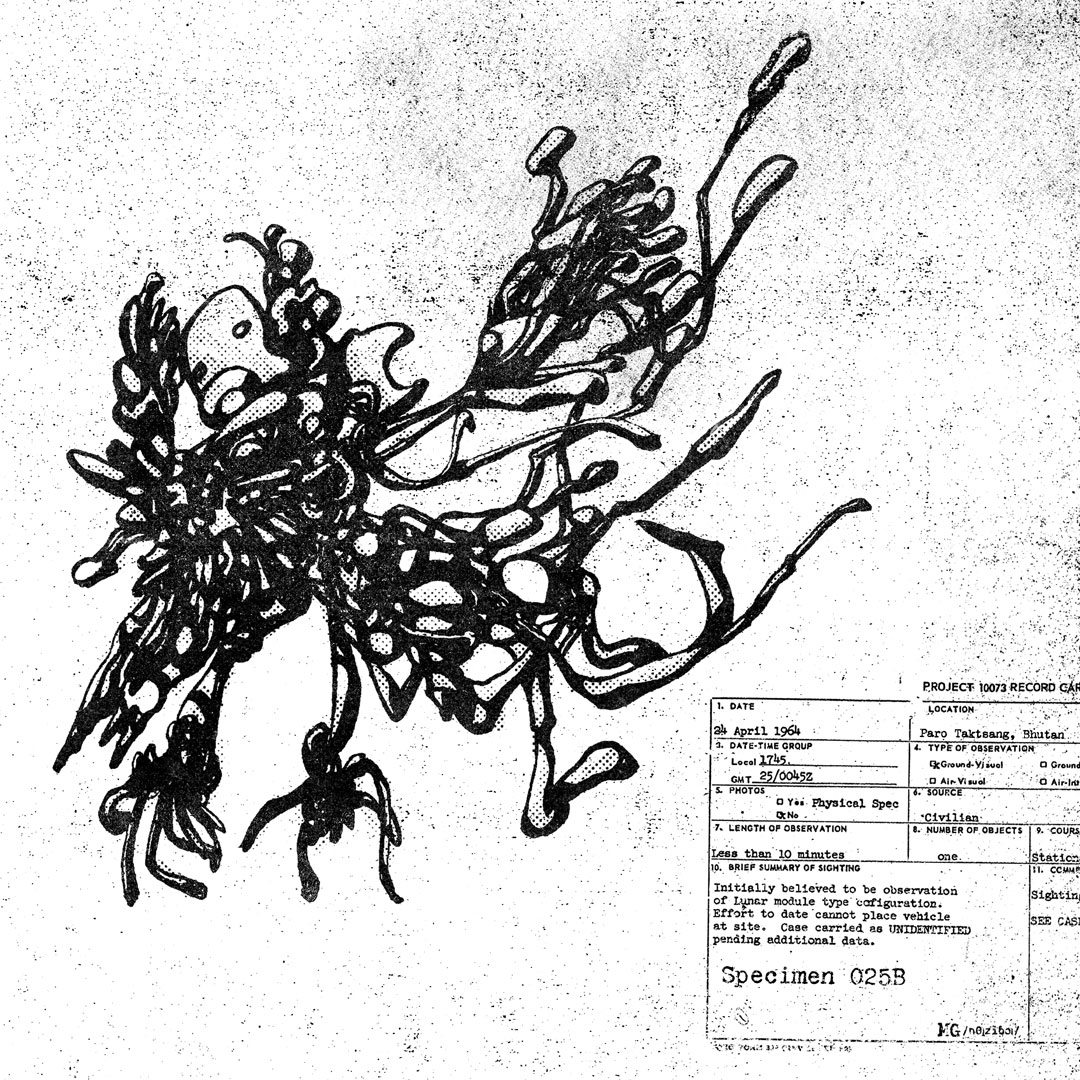specimen 025B_01b